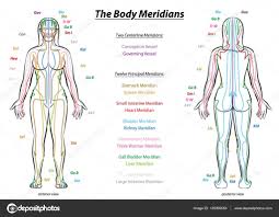 Traditional Chinese Medicine Meridian Charts Meridian