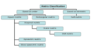 types of matrices eage tutor