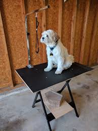 Ok so my dog was way over due for a haircut so finally we took him to a new grooming place to get it done. Diy Dog Grooming Table How To Build Your Own 4 Projects