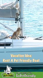 Try out a pontoon boat rental, powerboat rental, or a long beach boat tour. Rent A Pet Friendly Boat Pet Friendly Rentals Across The U S