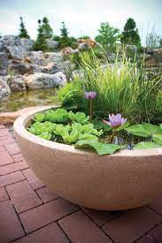 Create Your Own Container Water Garden
