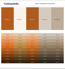 Html color sienna is translated automatically to its rgb / hex equivalent by the browser. 160 Latest Color Schemes With Sienna And Light Gray Color Tone Combinations 2021 Icolorpalette