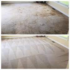 1 topnotch carpet cleaning services in