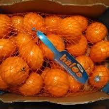 wonderful halos mandarin oranges