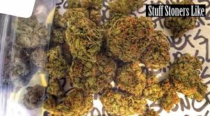 What slang terms are used for a half ounce? How Much Does Weed Cost From Grams To Ounces To Pounds Here S What You Should Be Paying For Pot