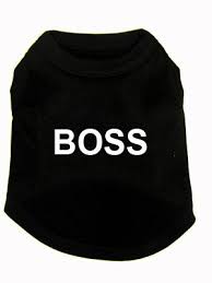 Boss Dog T Shirt