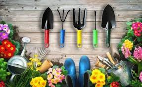Best Gardening Hand Tools Set For Your