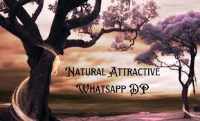 natural attractive whatsapp dp