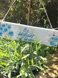 Recognizing & understanding signs of succulent problems | the succulent eclectic. Pallet Signs Homemade Pallet Wood Signs For Home And Garden