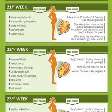 Pregnancy Week By Week Chart Nursery Weeks Pregnant