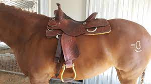 Review: KO Trading Company Elite Cowhorse Saddle – the everything pony