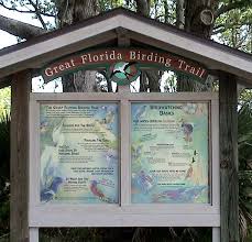 e coast birding florida birding