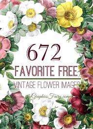672 vine flower images the