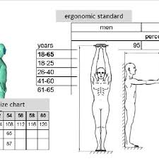 Comparison Between Size Chart And Ergonomic Standard By