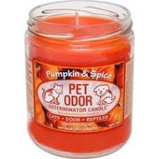 When you burn a scented candle or wax melt, the candle releases fragrances of its own which are quick to react with the receptors in your nose. 25 Pet Odor Exterminator Candles Ideas Pet Odors Candles Pet Odor Candles