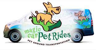 sign up magic car pet rides
