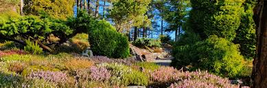 the heather garden the university