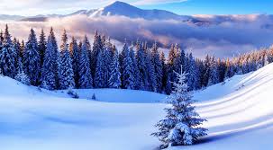 Beautiful winter snow 53889 - Dongxue Series - Landscape scenery