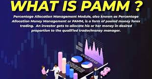 Halal , trading in equity is halal and should not trade intraday , option and future, and the trading in stocks, which are based on halal investment , that too on investment basis is ok. Sdx Pamm Prixo Markets Home Facebook