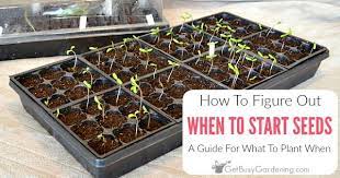 When To Start Seeds Indoors How To