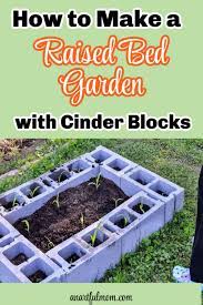 Raised Bed Garden With Cinder Blocks