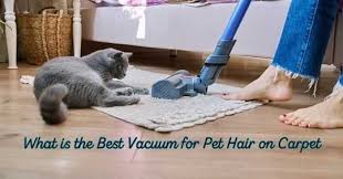 what is the best vacuum for pet hair on