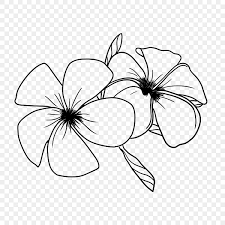 flower drawing flowers drawing