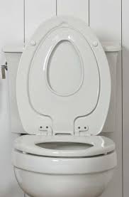 Toilet Seats Toiletseats Com