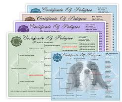 Pedigree Forms Certificates Create A Free Pedigree Forms