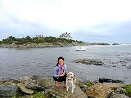 weekend in newport ri with a dog