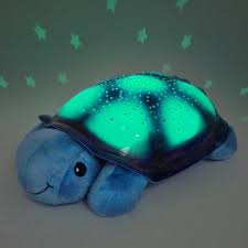 Twilight Turtle