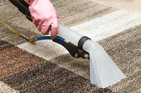 carpet cleaning services in leesburg