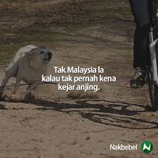 Image result for kena kejar anjing quote