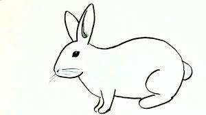 how to draw a rabbit or bunny in easy