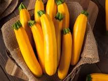 Is yellow zucchini the same as yellow squash?