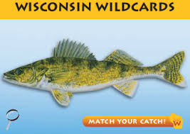 What Fish Is That Types Of Game Fish In Wisconsin Part 2