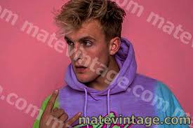 He gained extensive media coverage when the music video for his 2017 single it's everyday bro went viral on youtube. Jake Paul Net Worth 2020 How Rich Is Jake Paul Celebrity Ny Hot Info Matevintage Youtuber