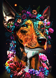 Wall Art Print Decoration Dog