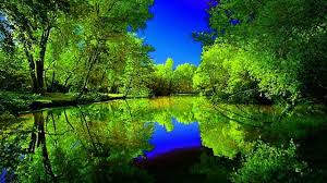 Image result for nature wallpaper