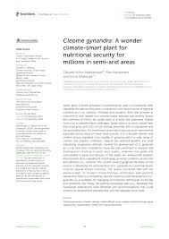 pdf cleome gynandra a wonder climate