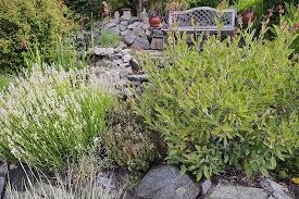 Tips For Growing An Edible Herb Garden