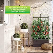 Buy Bio Green City Jungle Hydroponic Gardening System Self