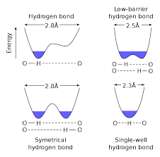 Low Barrier Hydrogen Bond Wikipedia