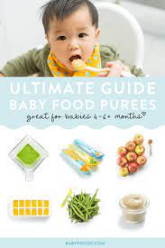 ultimate guide on baby food purees 4