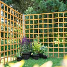 Garden Trellis Fence Panel