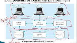 components of database environment