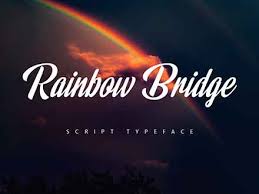rainbow bridge script font