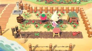 animal crossing new horizons how to