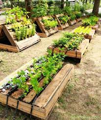 4 Ways To Use Pallets In Your Garden
