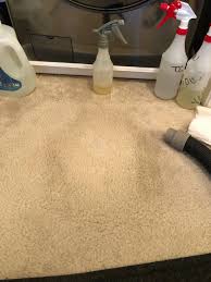 carpet wiser carpet cleaning reviews